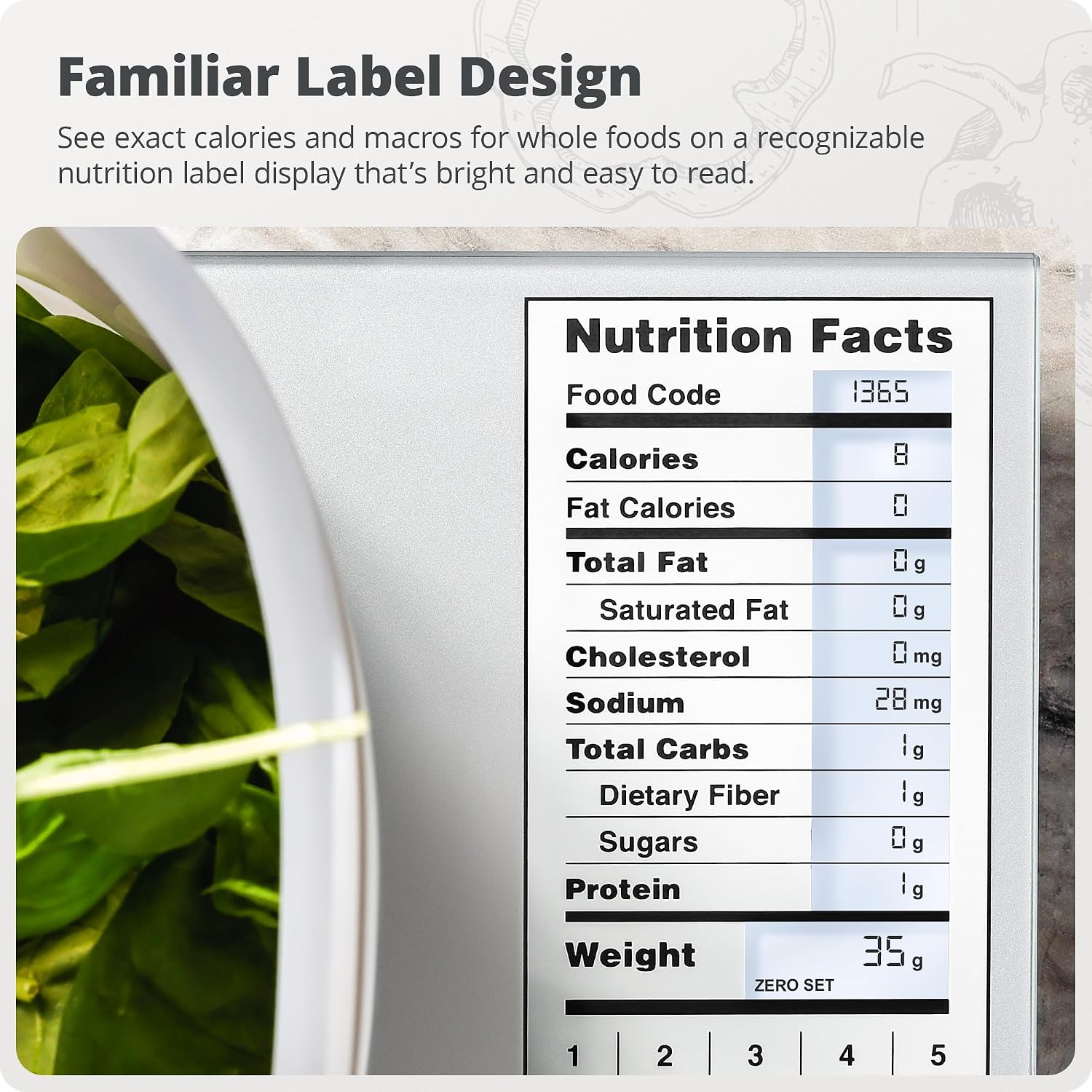 Kitchen Scale Stainless Steel  – Meal Prep Weight Loss recenzja i cena